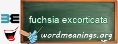 WordMeaning blackboard for fuchsia excorticata